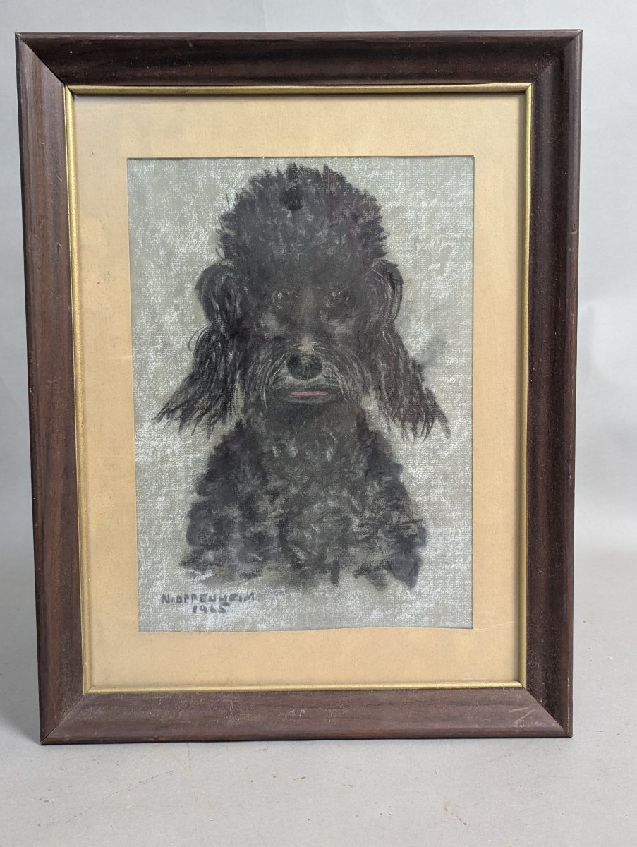 Charming Pastel Portrait of a Poodle Signed by N. Oppenheim 1965