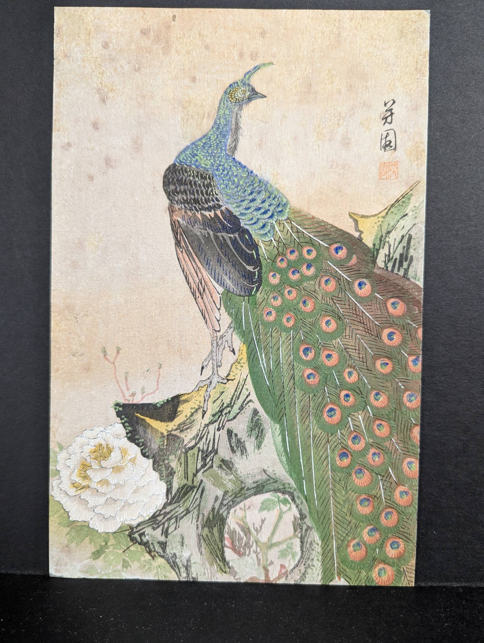 Japanese Woodblock Print Depicting a Peacock on a Floral Background