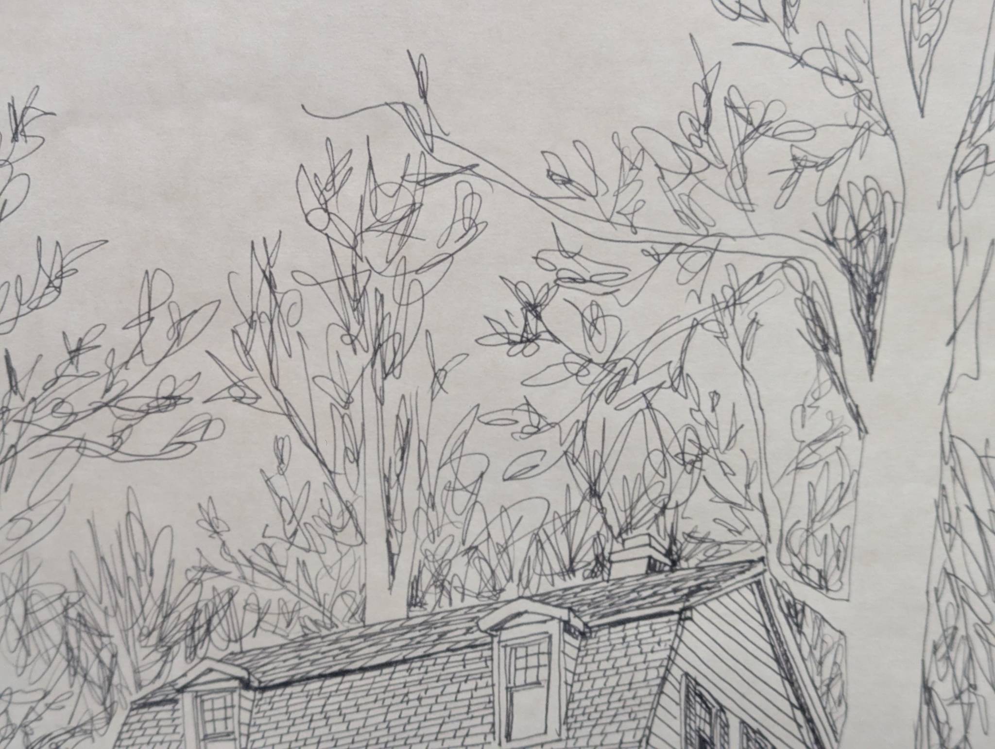 Thumbnail 11