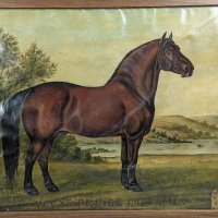 Antique Young Prince Imperial Horse Oil Painting by V Bailey Groom