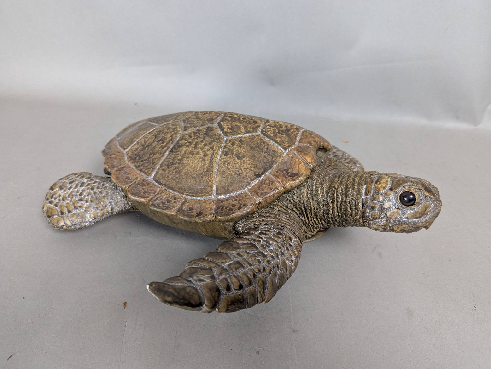 Animal Classics Sea Turtle Sculpture in Resin by United Design Corp