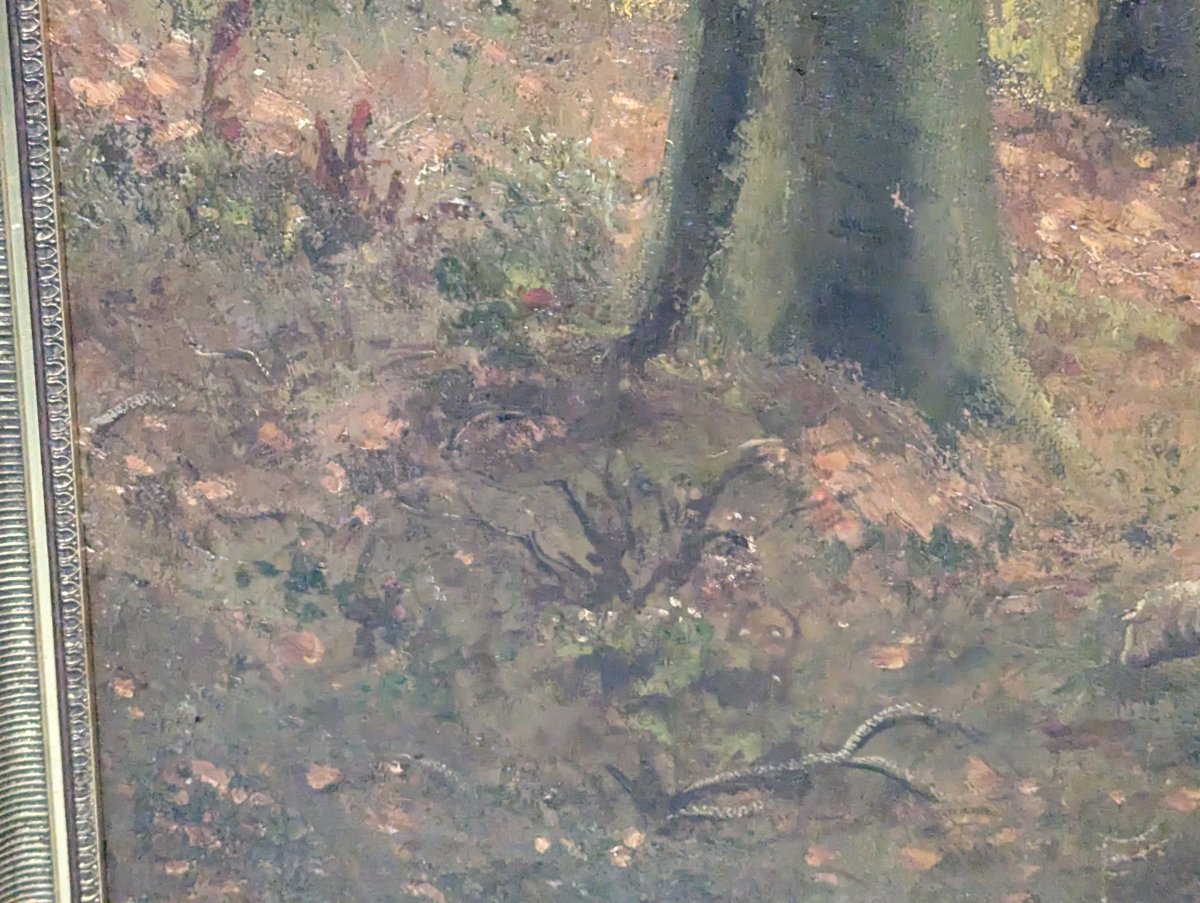 Thumbnail 8