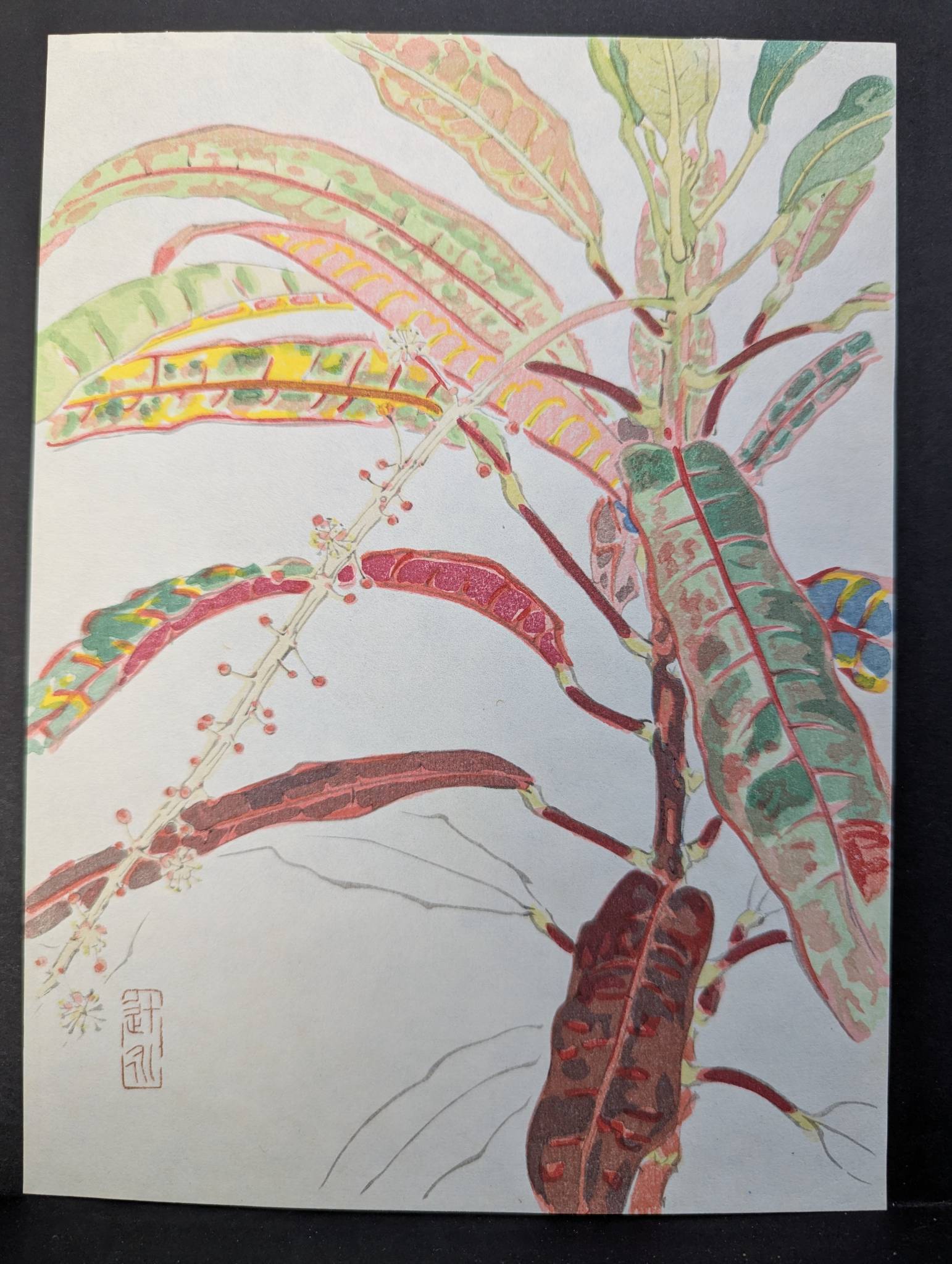 Japanese Woodblock Print by Tsuji Ei Titled 1969 Kuroton