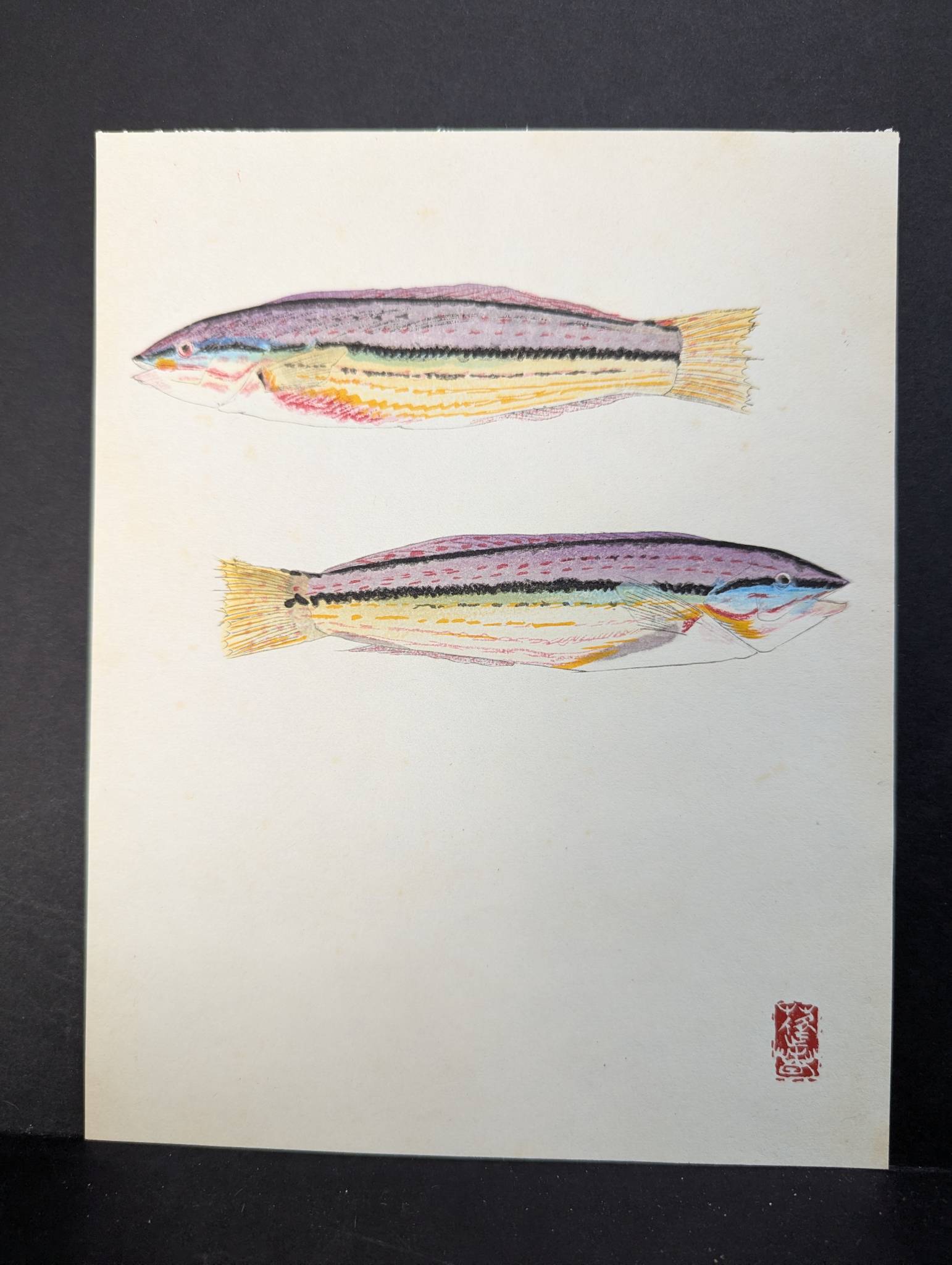 Japanese Woodblock Print by Yamaguchi Hoshun Depicting Two Fish