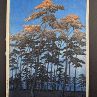 Japanese Woodblock Print by Kawase Hasui Depicting Hikawa Park