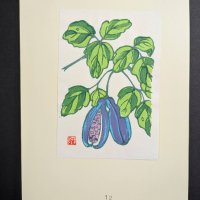 Japanese Woodblock Print Depicting Hanging Fruit and Leaves
