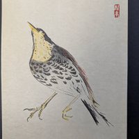 Japanese Woodblock Print by Keika Kaneshima with Bird Illustration